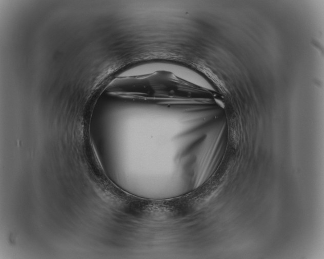 X0000091220207200708301459