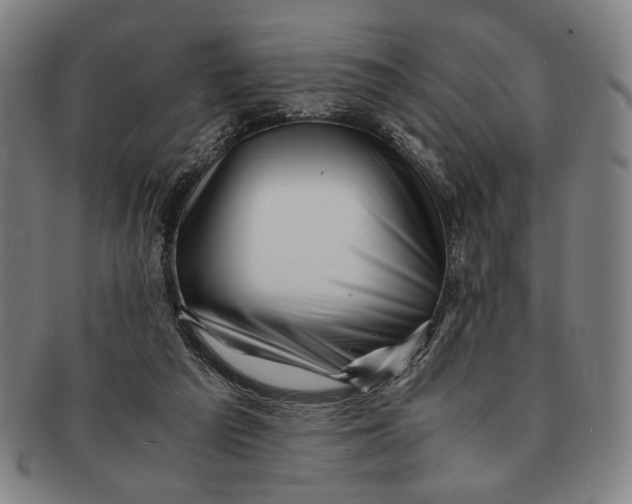 X0000091220209200708301459