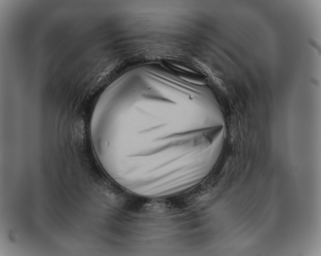 X0000091220211200708301459