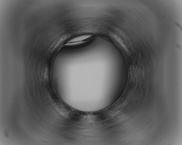 X0000091220212200708301459