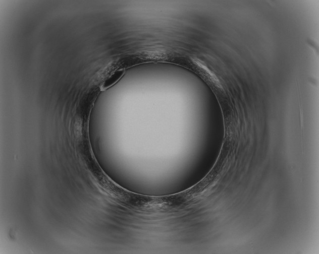 X0000091220213200708301459