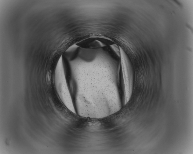 X0000091220214200708301459