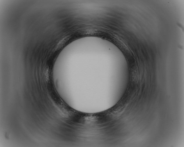 X0000091220216200708301459