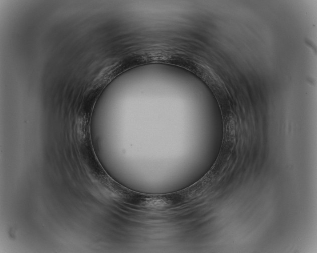 X0000091220218200708301459