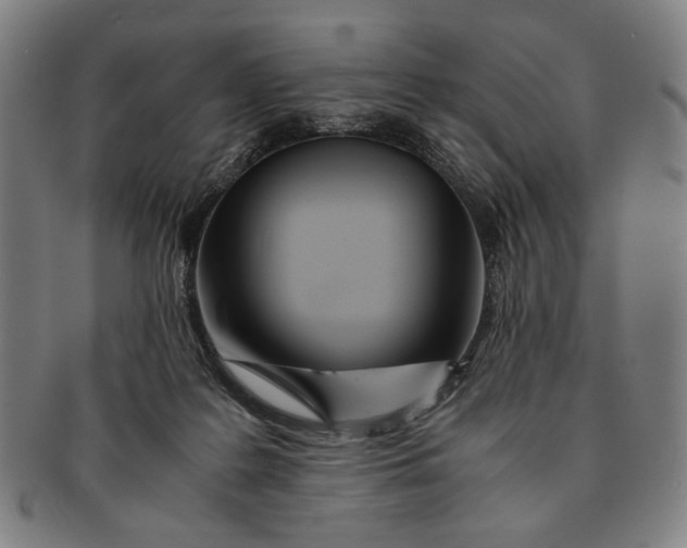 X0000091220219200708301459