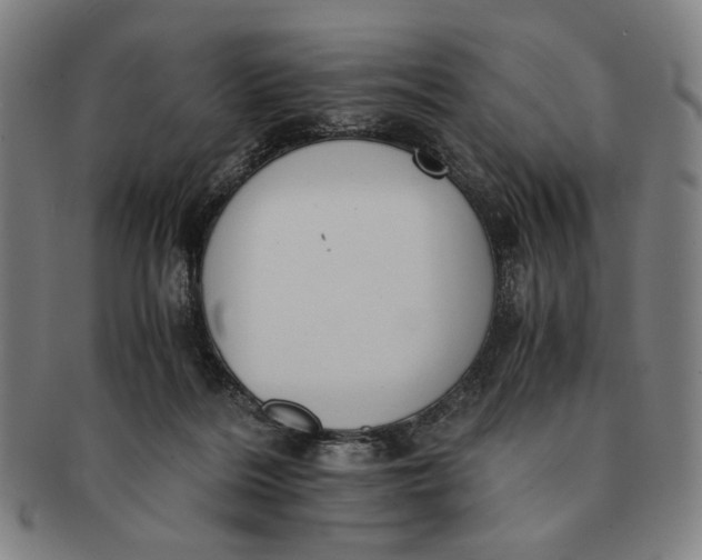 X0000091220220200708301459