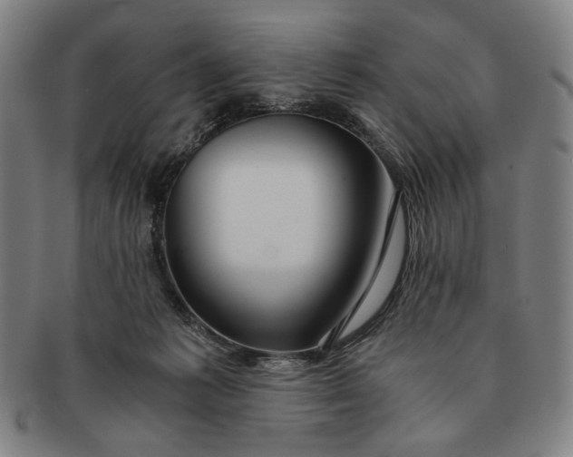 X0000091220221200708301459