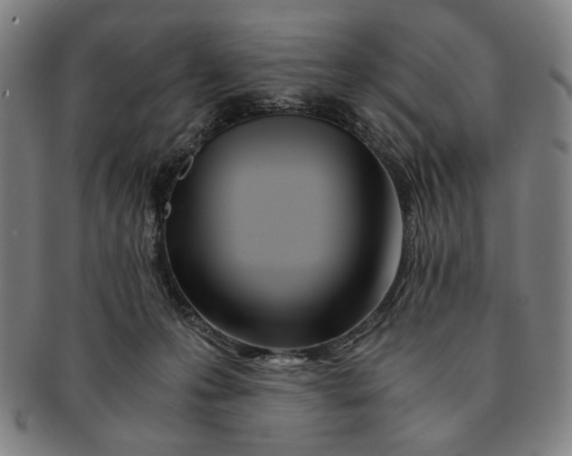 X0000091220223200708301459