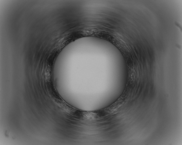 X0000091220226200708301459