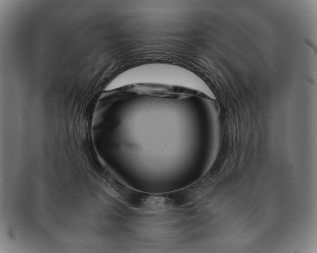 X0000091220227200708301459