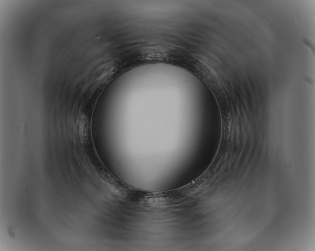 X0000091220228200708301459