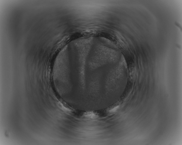 X0000091220231200708301459