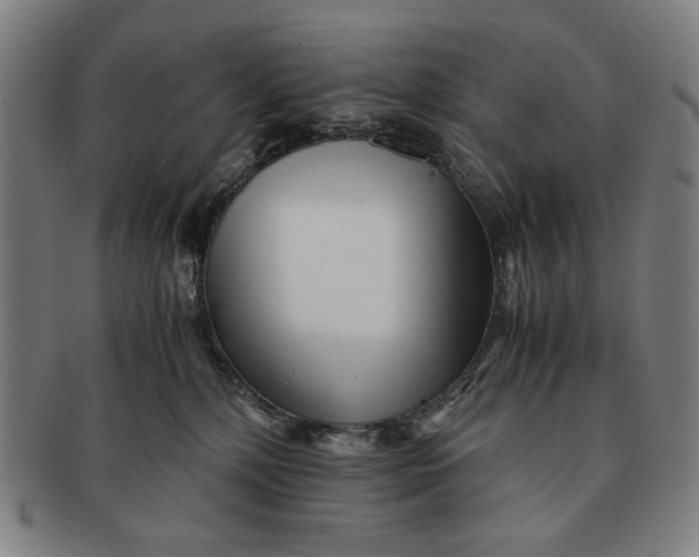 X0000091220232200708301459