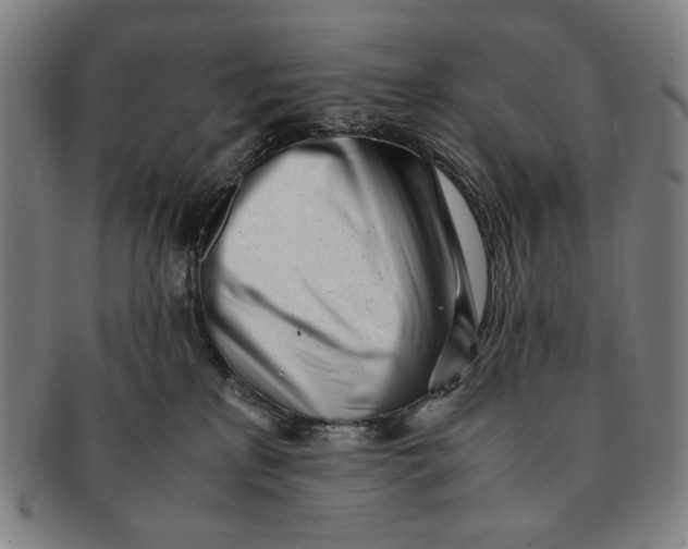 X0000091220233200708301459