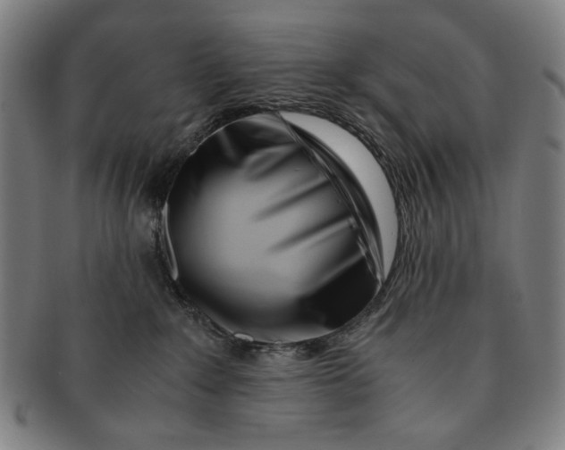 X0000091220235200708301459