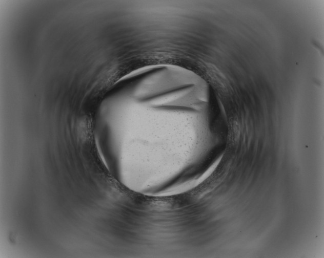 X0000091220236200708301459