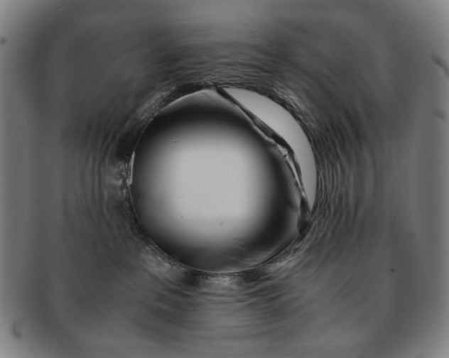 X0000091220237200708301459