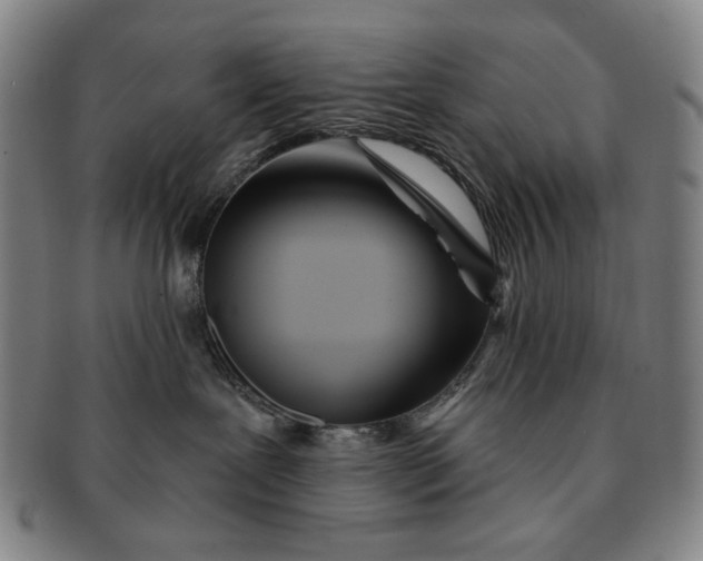 X0000091220239200708301459