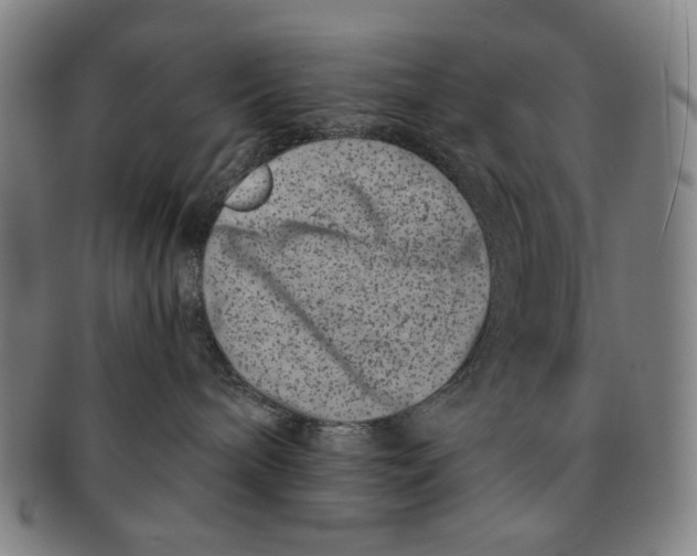 X0000091220240200708301459