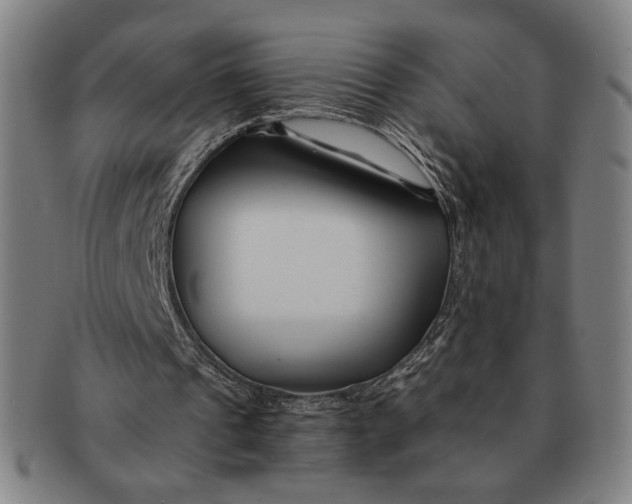 X0000091220241200708301458