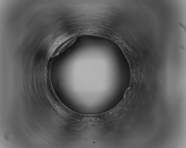 X0000091220242200708301458