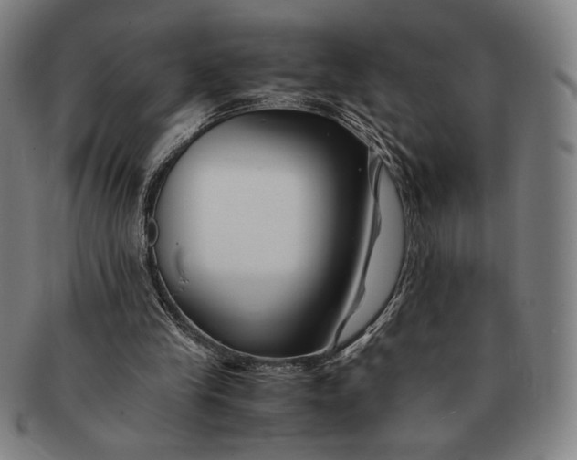 X0000091220245200708301458