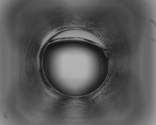 X0000091220246200708301458