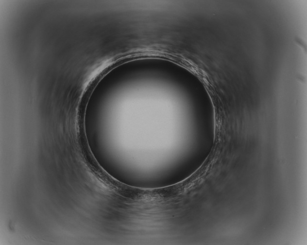 X0000091220248200708301458