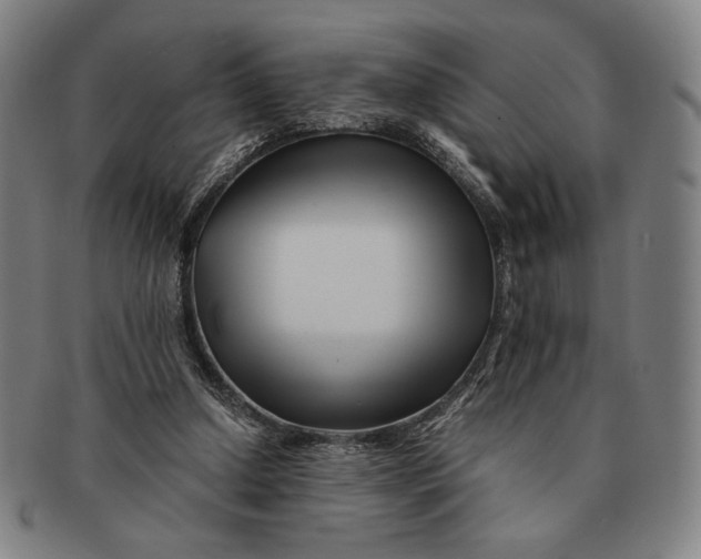 X0000091220250200708301458