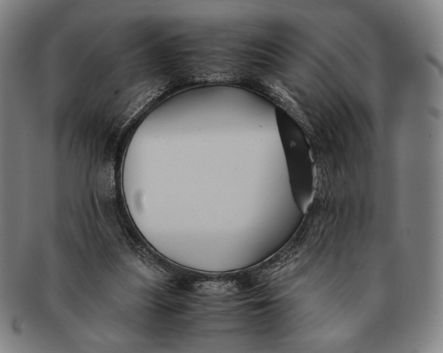 X0000091220251200708301458