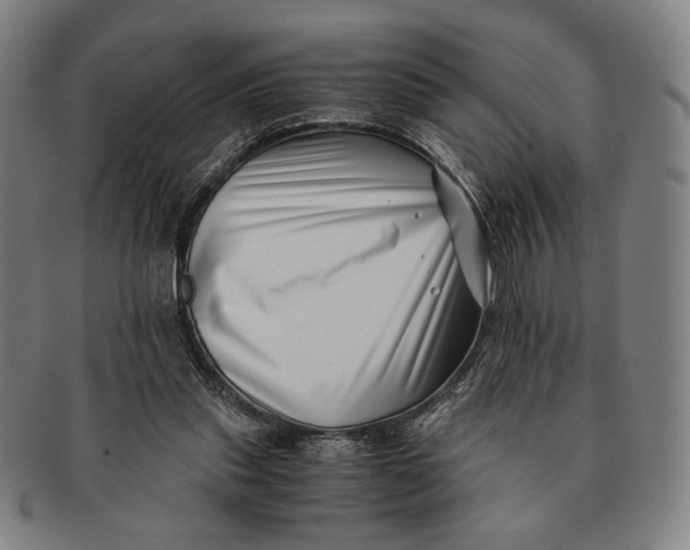 X0000091220253200708301458