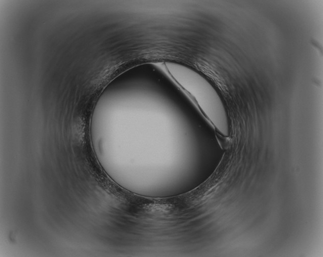 X0000091220255200708301458