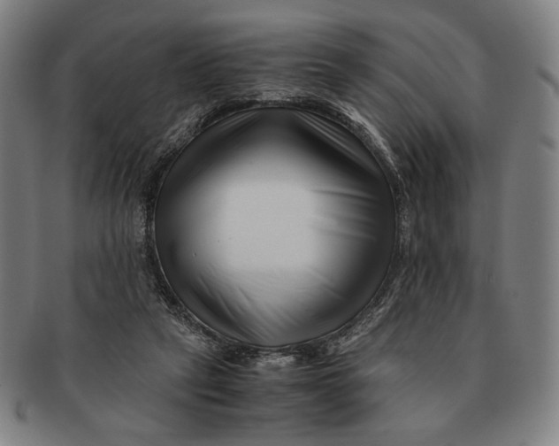 X0000091220257200708301458