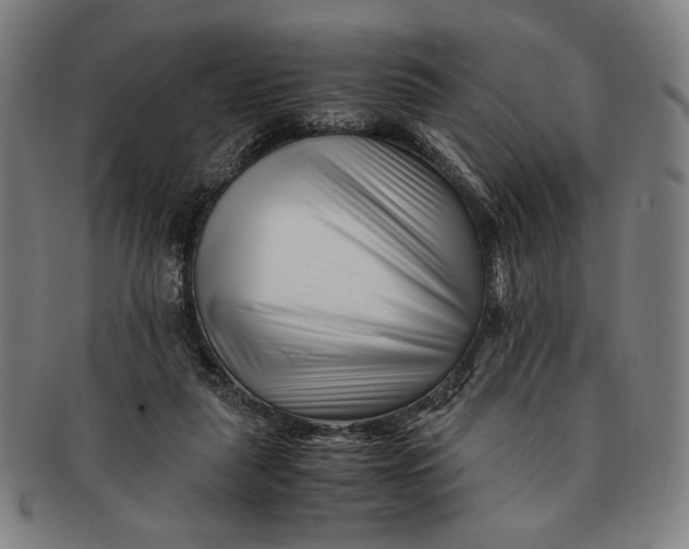 X0000091220259200708301458