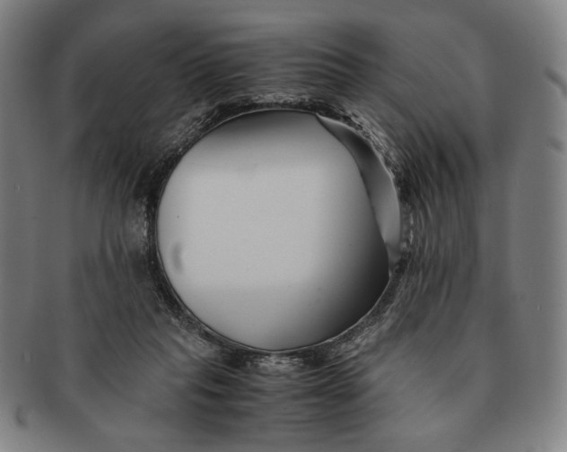 X0000091220261200708301458