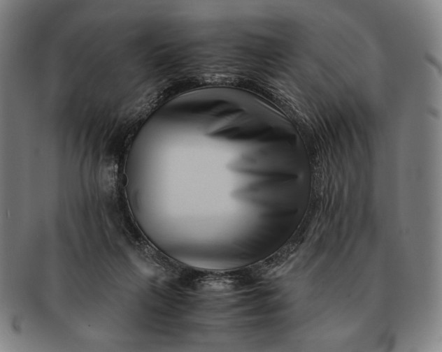 X0000091220263200708301458