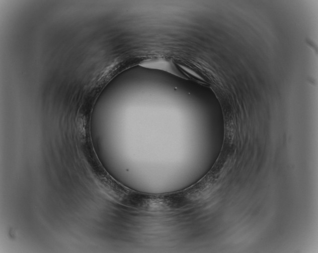 X0000091220264200708301458