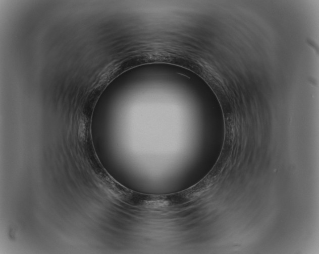 X0000091220266200708301458