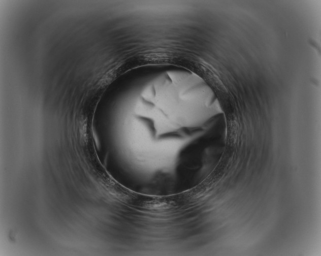 X0000091220267200708301458