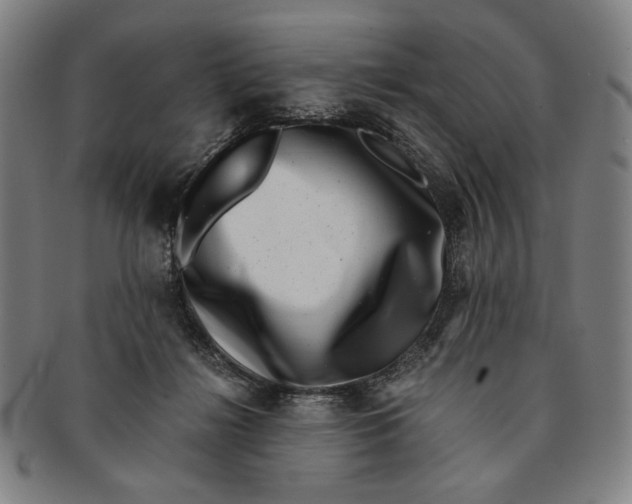 X0000091220268200708301458