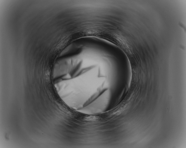 X0000091220269200708301459