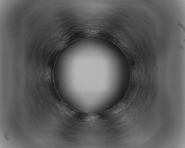 X0000091220274200708301459