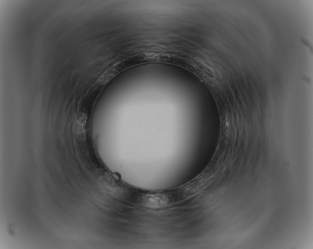 X0000091220275200708301459