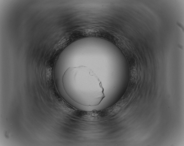 X0000091220278200708301459