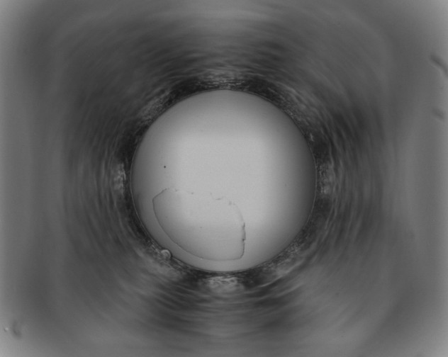 X0000091220279200708301459