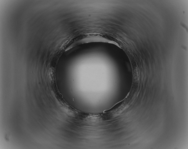 X0000091220280200708301459