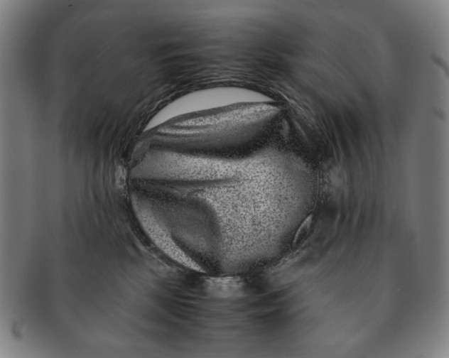 X0000091220281200708301459