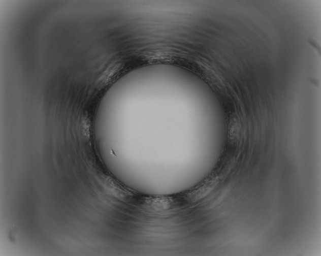 X0000091220282200708301459