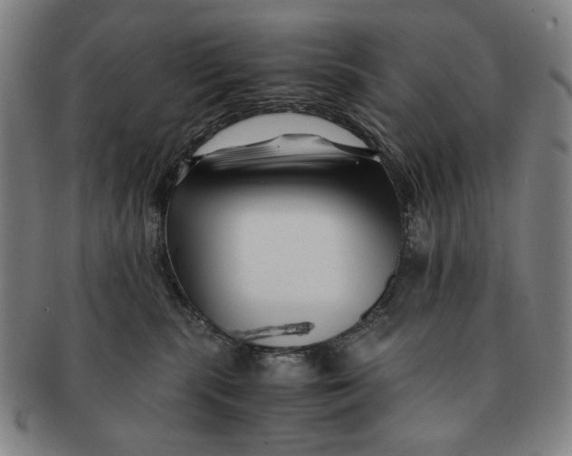 X0000091220283200708301459