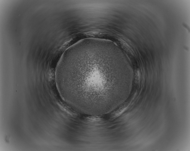 X0000091220284200708301459